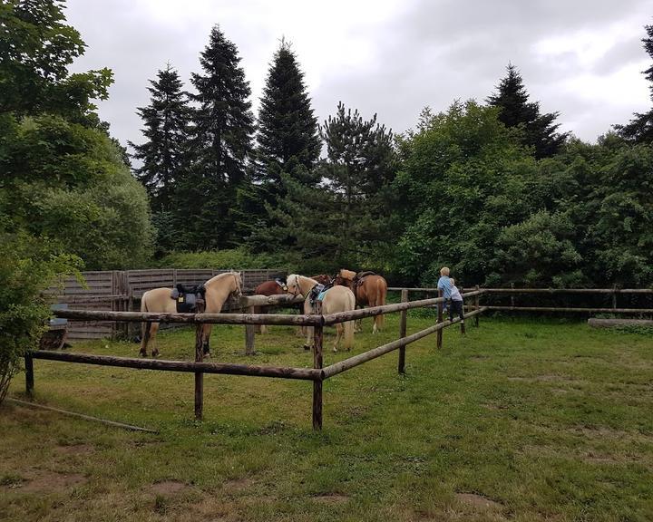 Waldschaenke Im Zuschlag